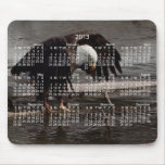 Intense Concentration; 2013 Calendar Mousepads