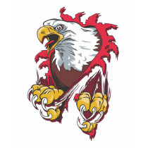 Intense Eagle t-shirts