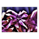 Intense Purple Flower Card