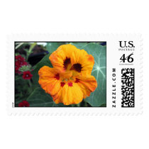 Intense Yellow-Orange Nasturtium postage by charlesblack7 Intense Yellow-Orange Nasturtium postage