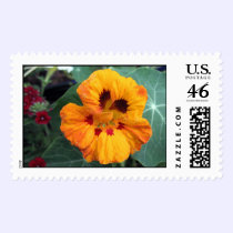 Intense Yellow-Orange Nasturtium postage
