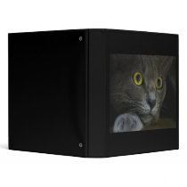 Intensity Binder