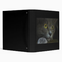 Intensity Binder