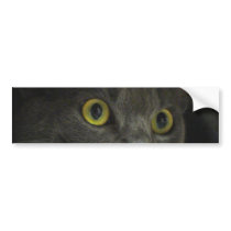 Intensity Bumper Sticker