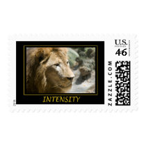 Intensity stamps