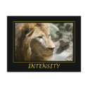 Intensity postcard
