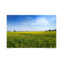 Intensity posters by photogenethic Intensity posters