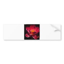 Intensive Lotus Flower Bumper Stickers