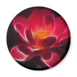 Intensive Lotus Flower Magnets