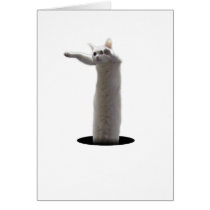 interdimensional LongCat cards