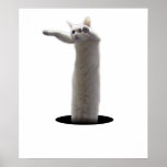 interdimensional LongCat posters