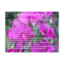 Interesting facts about April Postcard