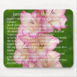 Interesting Facts About August Mouse Pad