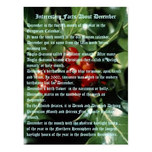 Interesting Facts About December Postcard Zazzle