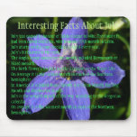 Interesting Facts about July mousepads