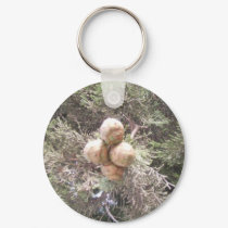 interesting key keychains by sulelay interesting key keychains