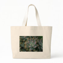 Interesting succulent plant, use as is or...... tote bag