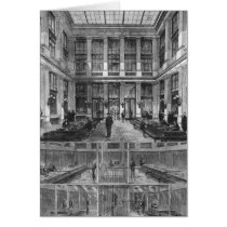 Interior and cross-section greeting cards