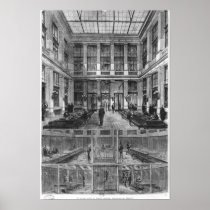 Interior and cross-section poster