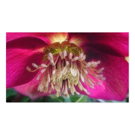 Interior Of A Delicate Spring Hellebore Flower Business Card (back side)