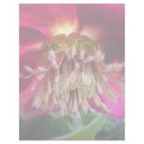Interior Of A Delicate Spring Hellebore Flower Letterhead Design