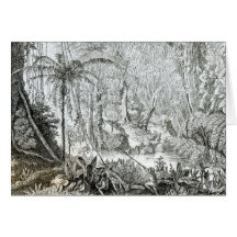 Interior of a Primeval Forest in the Amazons Cards