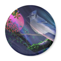 Interlude magnets