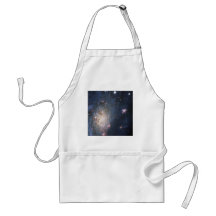 Intermediate Spiral Galaxy NGC 2403 Caldwell 7 Aprons