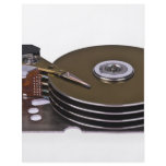 Internals of a hard disk drive flyers