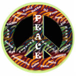 International Peace Sign Pin