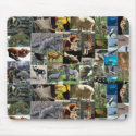 internet safari mousemat mousepads by cooldudeproducts internet safari mousemat mousepads
