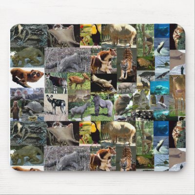 internet safari mousemat mouse pad by cooldudeproducts