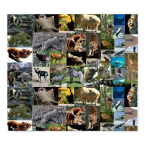 Internet Safari Poster posters by cooldudeproducts Internet Safari Poster posters