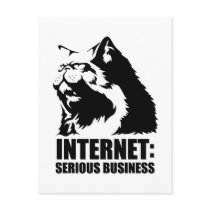 Internet: Serious Business (lolcat funny tshirt) Postcards