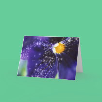 "Interstellar Petals" Card