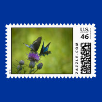 intertwined postage by zack12349 intertwined postage