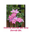 Interwoven clematis fun and unique shirt