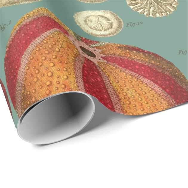 Intestina et Mollusca Linnaei Wrapping Paper 3/4