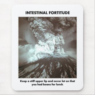 intestinal-fortitude-keep-a-stiff-upper-lip mousepads