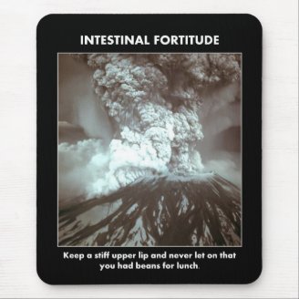 intestinal-fortitude-keep-a-stiff-upper-lip mousepad