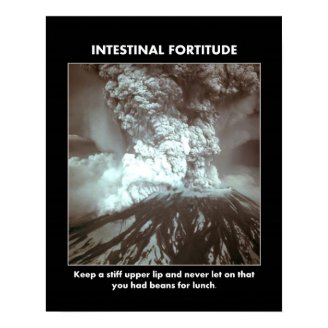 intestinal-fortitude-keep-a-stiff-upper-lip print