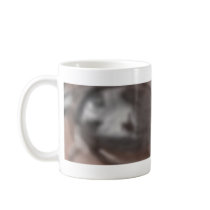 intheshades mugs