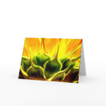 Intimacy Greeting Card