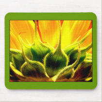 Intimacy mousepads