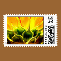 Intimacy stamps
