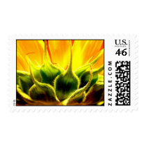 Intimacy Stamps
