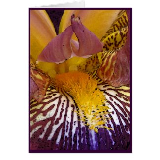 Intimate Iris Valentine Greeting Card