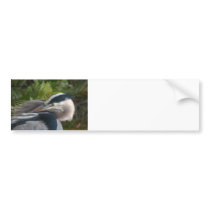 Intimately Blue Bumper Stickers