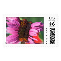 intimately unique postage
