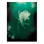 Into the blue Postcard